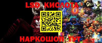 спиды Кандалакша