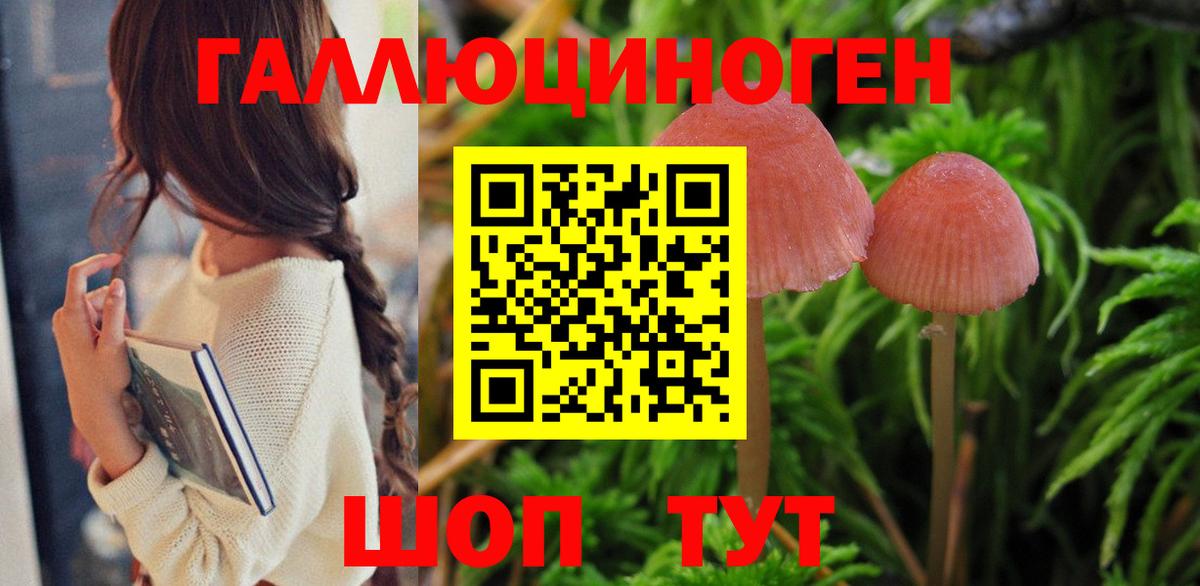 Псилоцибиновые грибы GOLDEN TEACHER Красноуфимск