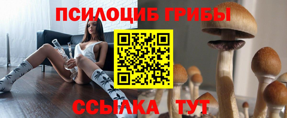 Галлюциногенные грибы мицелий  купить наркотики сайты  Красноуфимск  Вход с VPN 